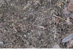 Photo of Various Textures